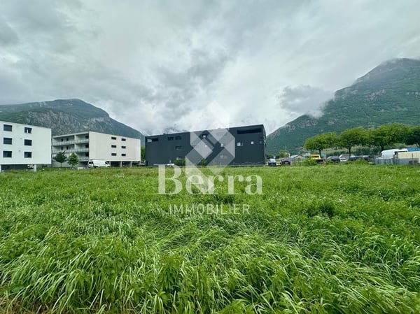 Box-halle avec porte sectionnelle 3