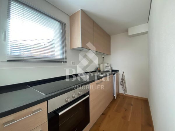 Superbe chalet rénové avec studio indépendant et vue panoramique sur le Lac Léman 8