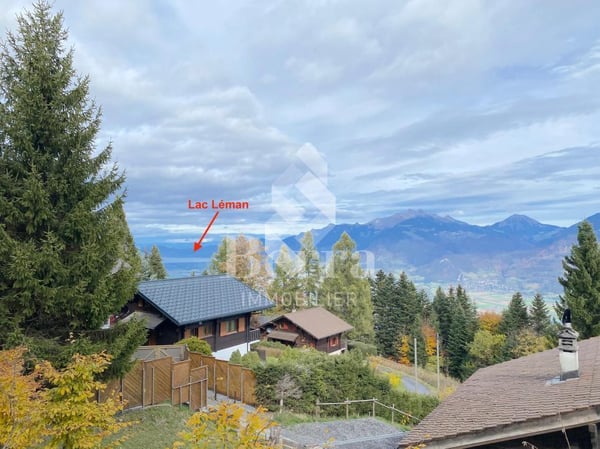 Superbe chalet rénové avec studio indépendant et vue panoramique sur le Lac Léman 1