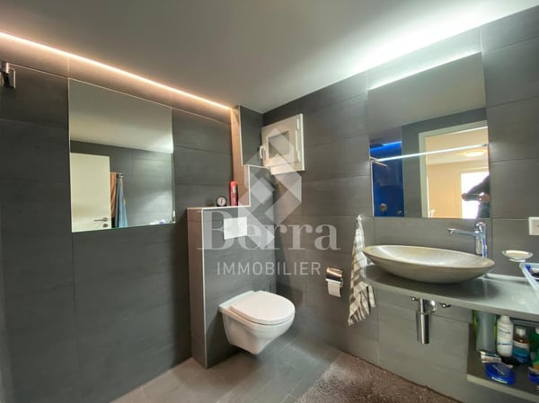 Superbe chalet rénové avec studio indépendant et vue panoramique sur le Lac Léman 6