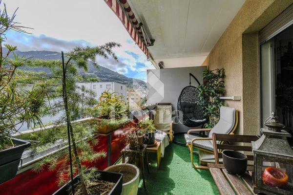 MONTHEY - Opportunité d'investissement à fort potentiel ! 3