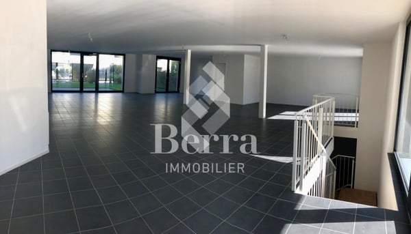 Surface Commerciale 13