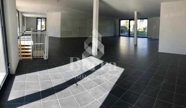 Surface Commerciale 12