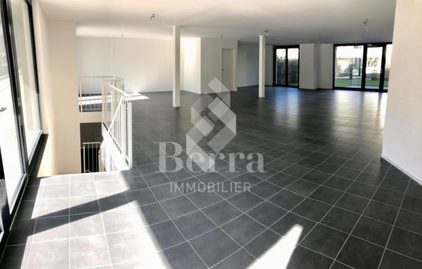 Surface Commerciale 9