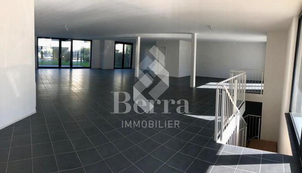 Surface Commerciale 13