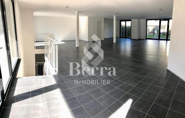 Surface Commerciale 9