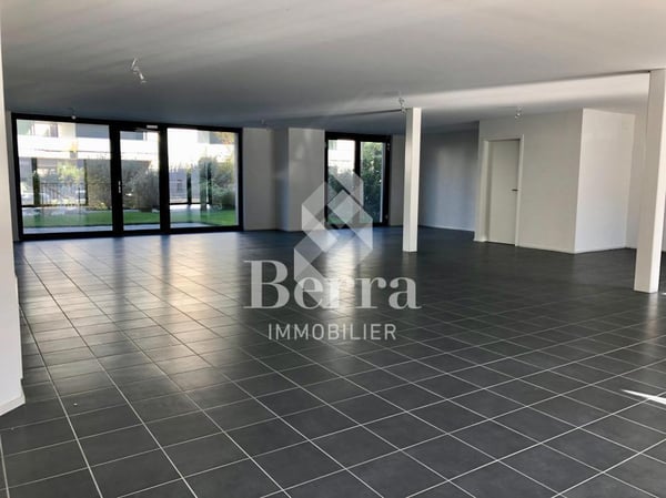 Surface Commerciale 11