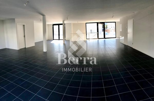 Surface Commerciale 3