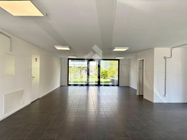 Surface commerciale lumineuse, proche Dranse 4