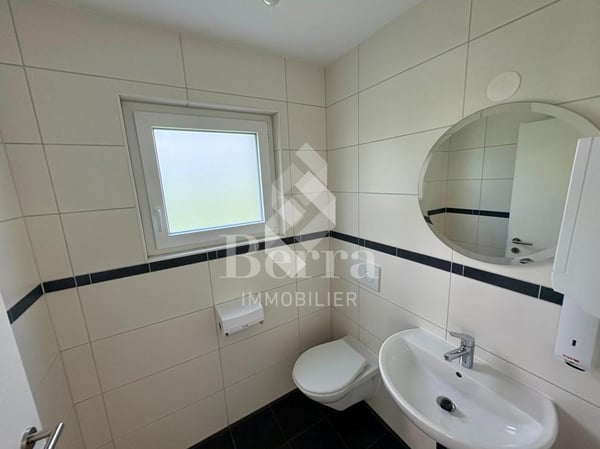 Surface commerciale lumineuse, proche Dranse 5