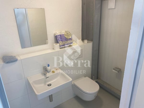 À louer - Halles industrielles modulables à Ardon (VS) 7