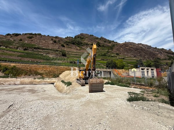 Portachon - Chateauneuf Sion 10