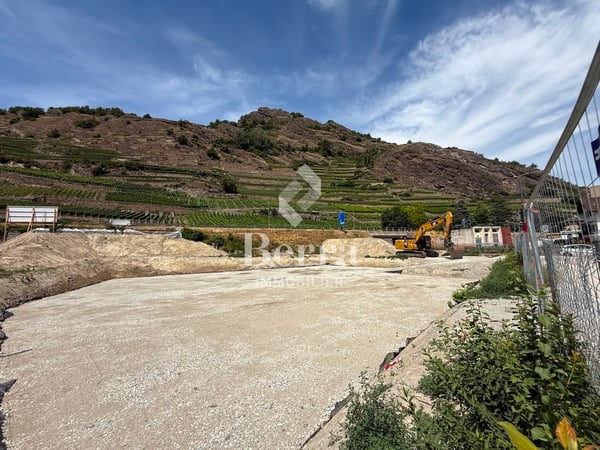 Portachon - Chateauneuf Sion 7