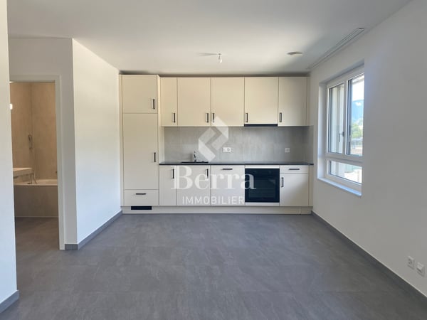 Grand studio neuf de 45m2 à louer ! 1