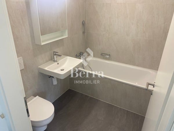 Grand studio neuf de 45m2 à louer ! 9