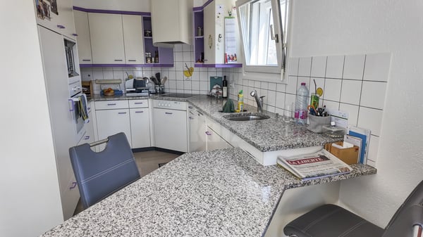 Habitation et atelier professionnel en zone industrielle 3