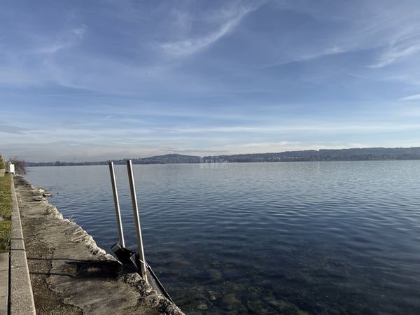 Situation privilégiée ! Belle villa avec accès direct au lac 11
