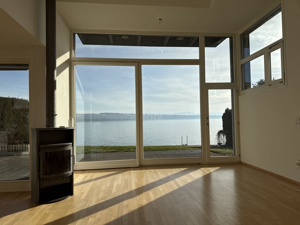 Situation privilégiée ! Belle villa avec accès direct au lac 2