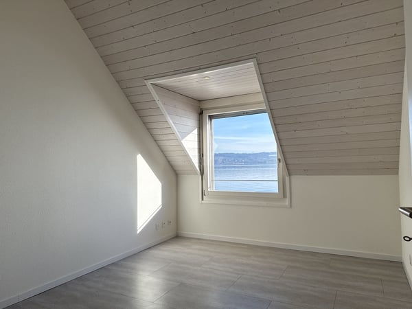Situation privilégiée ! Belle villa avec accès direct au lac 7