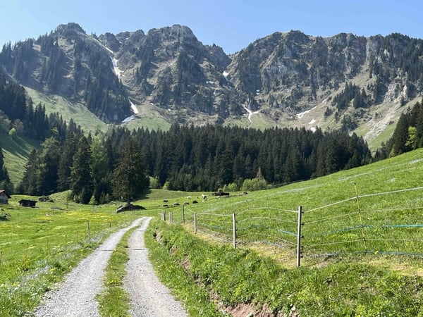 Studio idéal pour des séjours en montagne 12