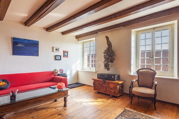 Très bel appartement avec cachet 2