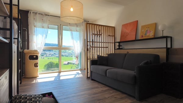 Superbe appartement avec balcon et terrasse 9