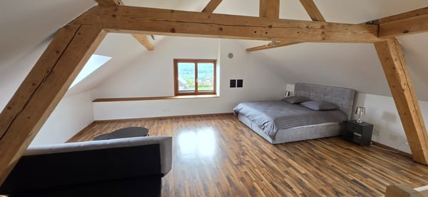 Belle maison de 2 appartements rénovés avec grands jardins 9