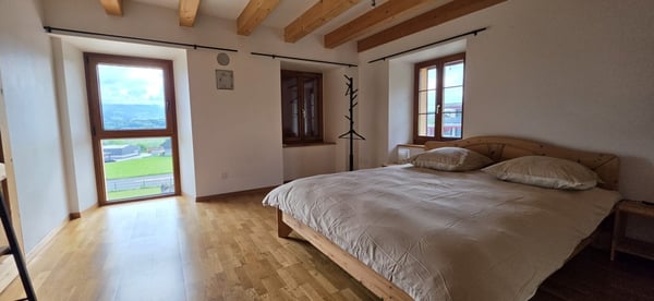 Belle maison de 2 appartements rénovés avec grands jardins 6