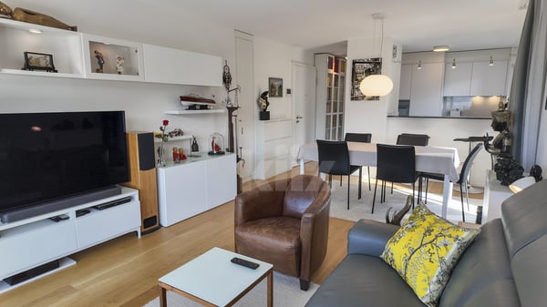 Magnifique attique avec grande terrasse et vue sur le lac 4