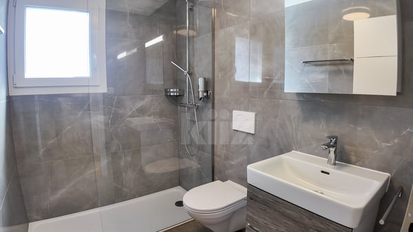 Magnifique attique avec grande terrasse et vue sur le lac 11