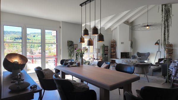 Superbe duplex avec terrasse et vue dégagée 3