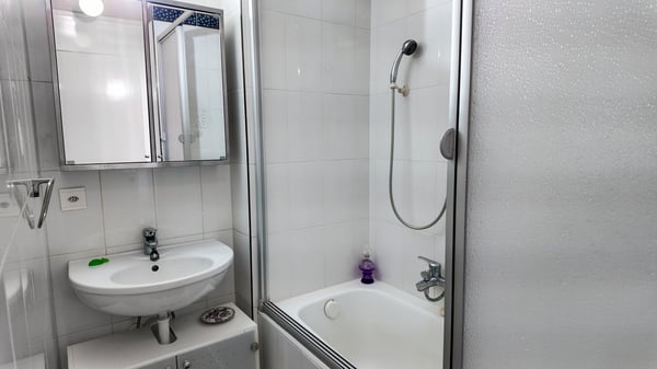 Charmant duplex avec jardin et vue sur lac et montagnes 6