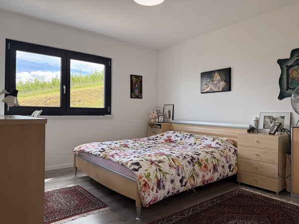 Maison récente de trois appartements avec vue sur le lac 7