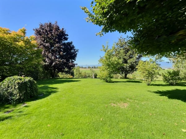 Spacieux 1.5p au calme dans une maison de Maître ! 9