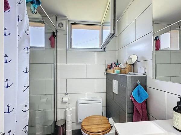 Villa de 2 appartements à Palézieux 11