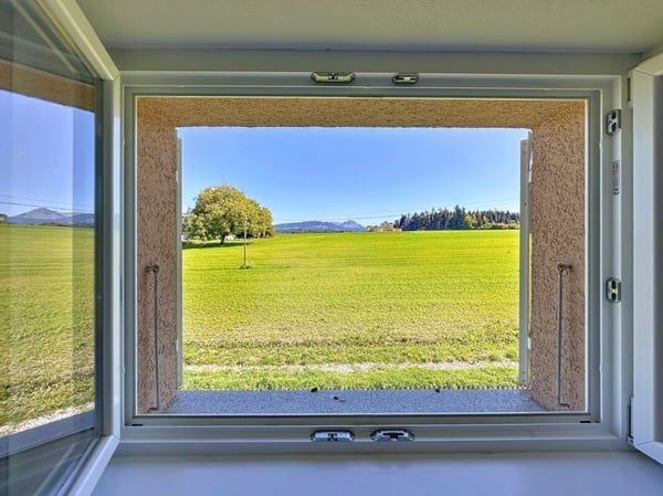 Appartement de 1.5 pièces à Palézieux 13