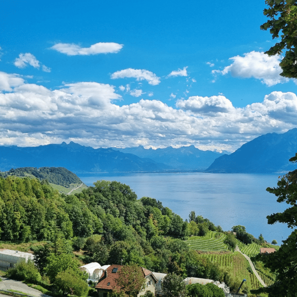 Opportunité à saisir !! 2