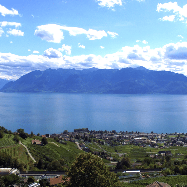 Opportunité à saisir !! 5