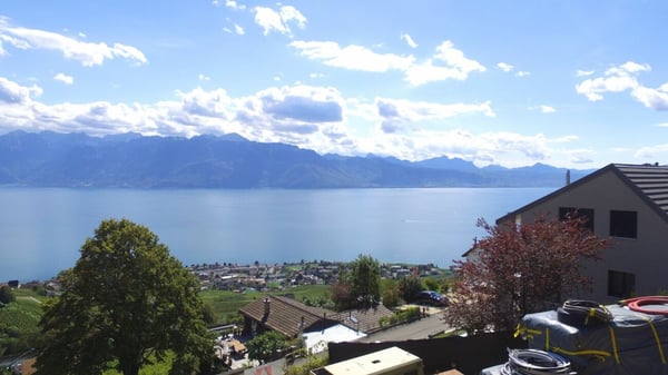 Grandvaux - Dernier lot! 3