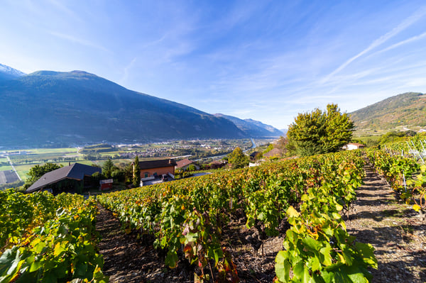 TERRAIN PERMIS EN FORCE - 10 LOGEMENTS - CALME ET VUE - EN EXCLUSIVITÉ 2