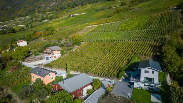 TERRAIN PERMIS EN FORCE - 10 LOGEMENTS - CALME ET VUE - EN EXCLUSIVITÉ 5