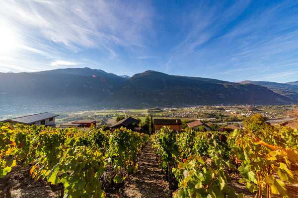 TERRAIN PERMIS EN FORCE - 10 LOGEMENTS - CALME ET VUE - EN EXCLUSIVITÉ 3