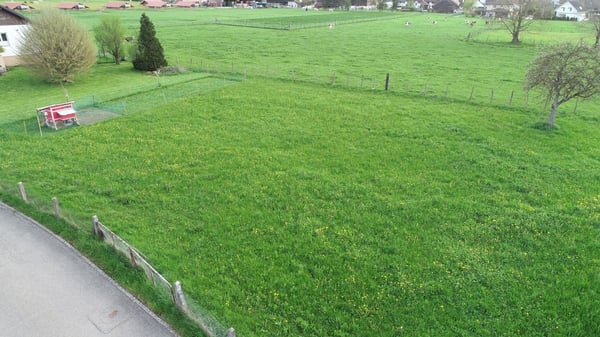 Magnifique terrain plat à vendre dans un endroit calme proche de la nature 2