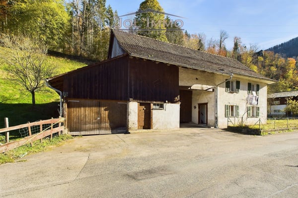 Maison à rénover avec grand terrain 2