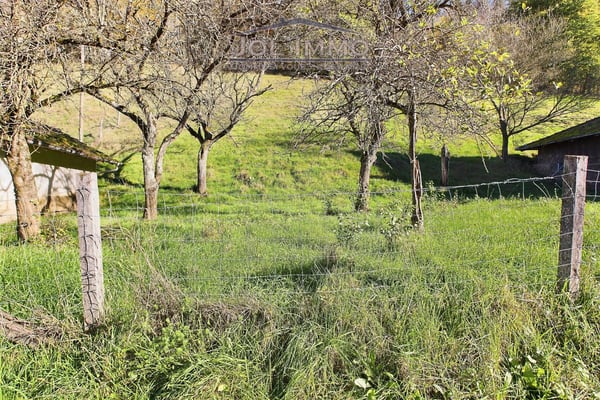 Maison à rénover avec grand terrain 5