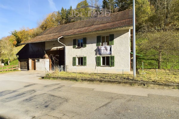 Maison à rénover avec grand terrain