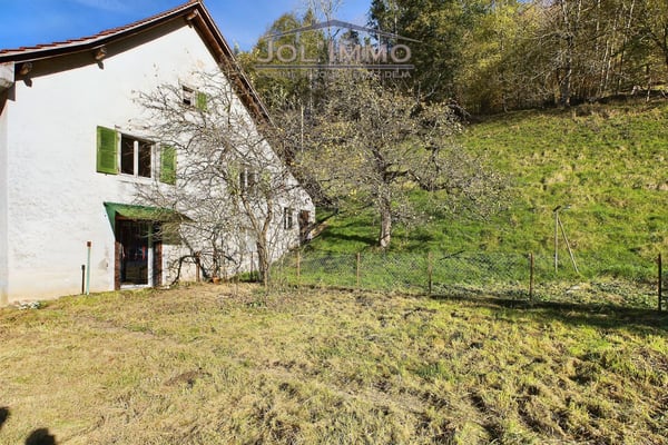 Maison à rénover avec grand terrain 6