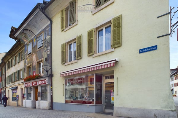 Magnifique et grand immeuble avec un local commercial 1