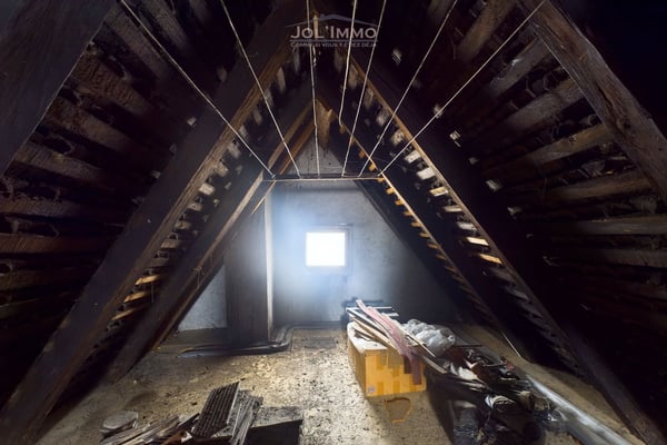 Magnifique et grand immeuble avec un local commercial 6