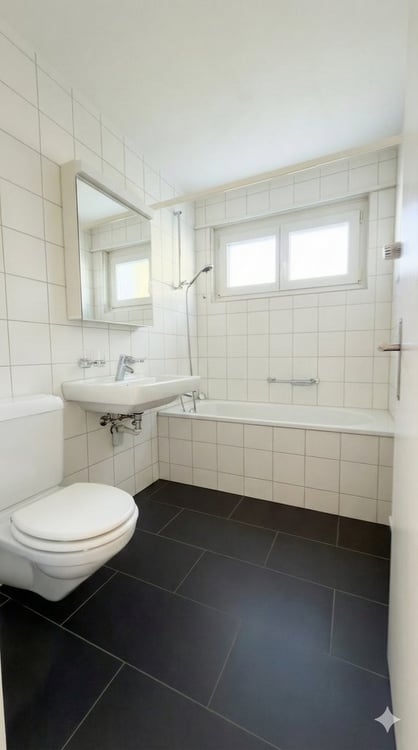 Über den Dächern von Grenchen 8